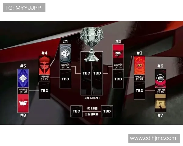 赛后分析：WE与RNG对决中的团队意识与战术执行探讨