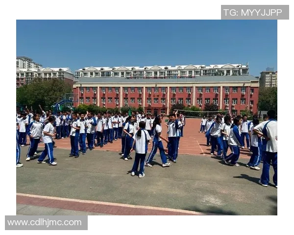 南京羽毛球队心理素质排名第六解析其背后的训练与心理调适策略