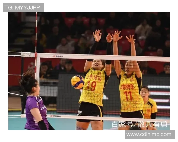 成都排球队个人能力深度解析与发展潜力探讨